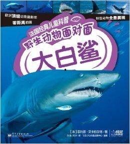科普爆料大白鲨视频,大白鲨惊悚瞬间大揭秘 第1张 科普爆料大白鲨视频,大白鲨惊悚瞬间大揭秘 第1张