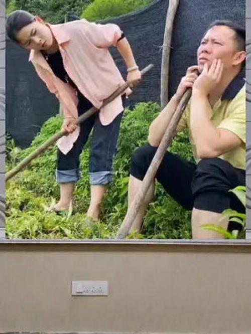 娱乐八卦一定是吃瓜群众,揭秘“吃瓜群众”的娱乐八卦盛宴 第2张 娱乐八卦一定是吃瓜群众,揭秘“吃瓜群众”的娱乐八卦盛宴 第2张