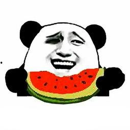 全网蹲守吃瓜免费txt书包网